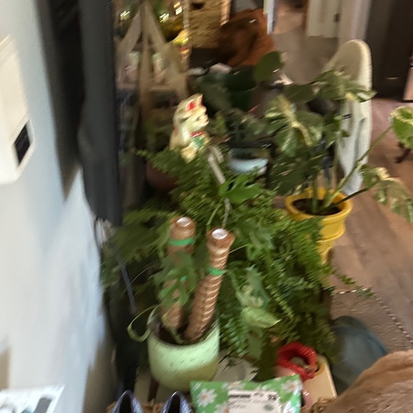 RD STYLE | Anthropologie Multicolor Sleeveless Top - Picture 6 of 13